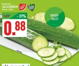 Marktkauf Niederlande SALATGURKEN Angebot
