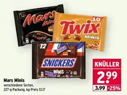 Wasgau Mars Minis Angebot