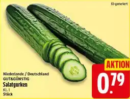 Elli Markt Salatgurken Angebot
