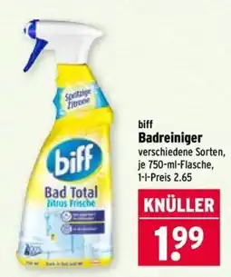 Wasgau biff Badreiniger Angebot