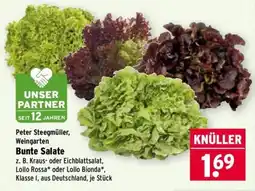 Wasgau Peter Steegmüller, Weingarten Bunte Salate Angebot