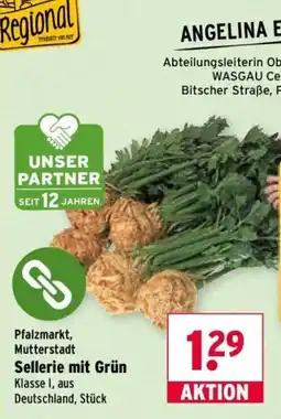 Wasgau Sellerie mit Grün Angebot