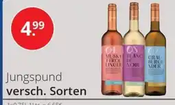 Sagasser Jungspund versch. Sorten Angebot