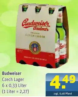 Getränke Arena Budweiser Czech Lager Angebot