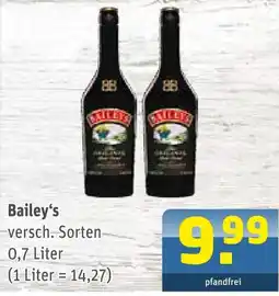 Getränke Arena Bailey's Angebot