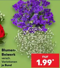 Kaufland Blumen Beiwirk Angebot