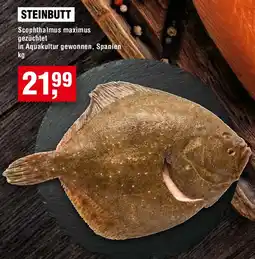 EDEKA Foodservice Steinbutt Angebot
