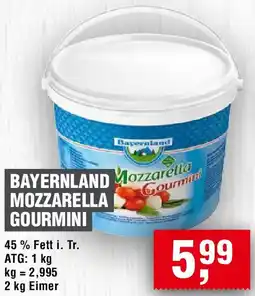 EDEKA Foodservice Bayernland mozzarella gourmini Angebot