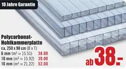 B1 Discount Baumarkt Polycarbonat-Hohlkammerplatte Angebot