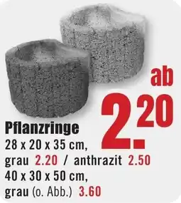 B1 Discount Baumarkt Pflanzringe Angebot