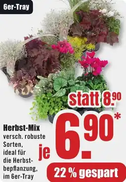 B1 Discount Baumarkt Herbst-Mix Angebot