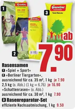 B1 Discount Baumarkt Rasensamen Angebot