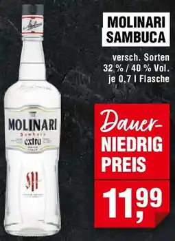 EDEKA Foodservice Molinari sambuca Angebot