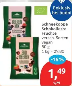 Budni Schneekoppe Schokolierter Früchte Angebot