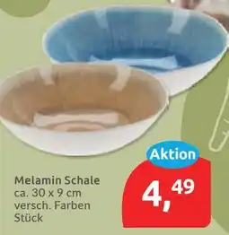 Budni Melamin Schale Angebot