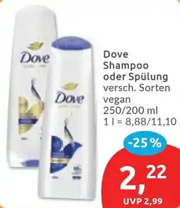 Budni Dove Shampoo oder Spülung Angebot