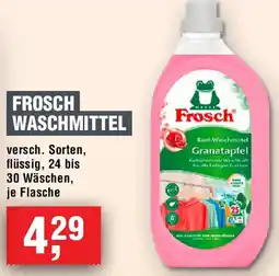 EDEKA Foodservice Frosch Waschmittel Angebot