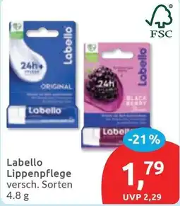 Budni Labello Lippenpflege Angebot