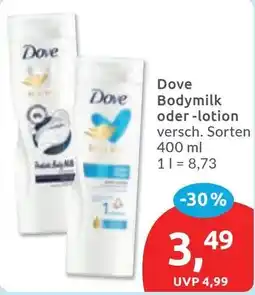 Budni Dove Bodymilk oder -lotion Angebot