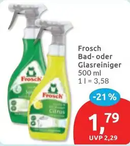 Budni Frosch Bad- oder Glasreiniger Angebot