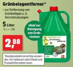 Thomas Philipps Grüner Sau Grünbelag-entferner Angebot