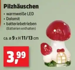 Thomas Philipps Pilzhäuschen Angebot