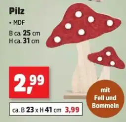 Thomas Philipps Pilz Angebot