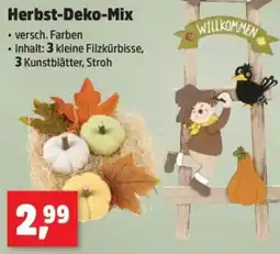 Thomas Philipps Herbst-Deko-Mix Angebot