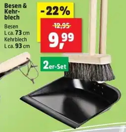 Thomas Philipps Besen & Kehrblech Angebot
