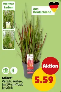 PENNY eleggrass Angebot