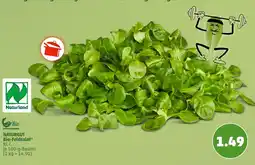PENNY NATURGUT Bio-Feldsalat Angebot