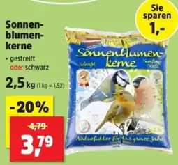 Thomas Philipps Sonnenblumenkerne Angebot