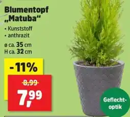 Thomas Philipps Blumentopf "Matuba" Angebot