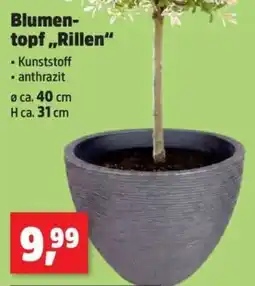 Thomas Philipps Blumentopf "Rillen" Angebot