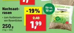 Thomas Philipps GRÜNER JAN Nachsaatrasen Angebot