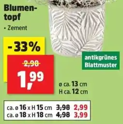 Thomas Philipps Blumentopf Angebot