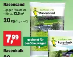 Thomas Philipps GRÜNER JAN Rasensand Angebot