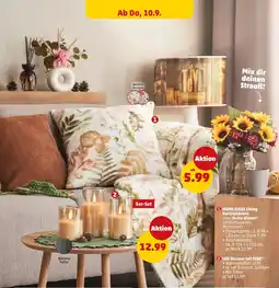 PENNY HOME IDEAS Living Kuscheldecke oder Deko-Kissen Angebot