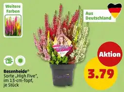 PENNY Besenheide* High Five Angebot