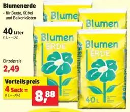 Thomas Philipps Blumen ERDE Angebot
