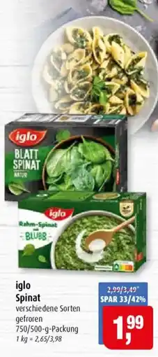 Markant iglo Spinat Angebot