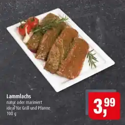 Markant Lammlachs Angebot