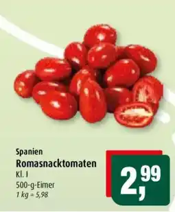Markant Spanien Romasacktomaten Angebot