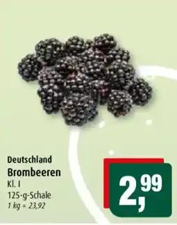 Markant Deutschland Brombeeren Angebot