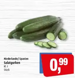 Markant Salatgurken Angebot