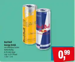 Markant Red Bull Energy Drink Angebot