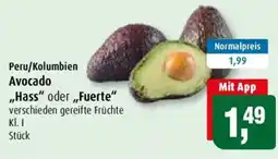 Markant Avocado Angebot