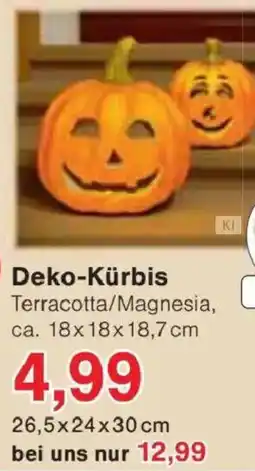 Jawoll Deko-Kürbis Angebot