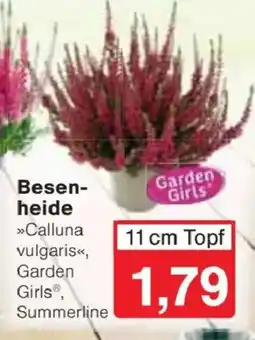 Jawoll Besenheide »Calluna vulgaris«, Garden Girls® Angebot