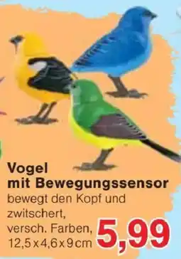 Jawoll Vogel mit Bewegungssensor Angebot